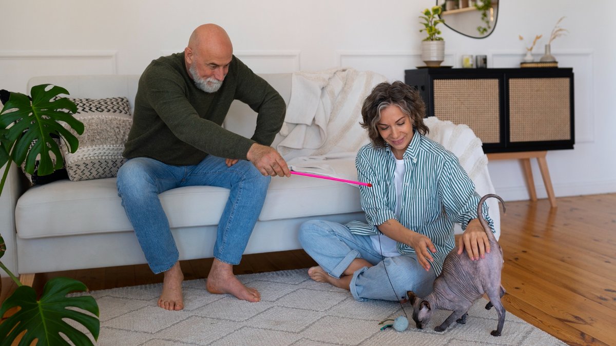 Full shot senior couple with cat at home